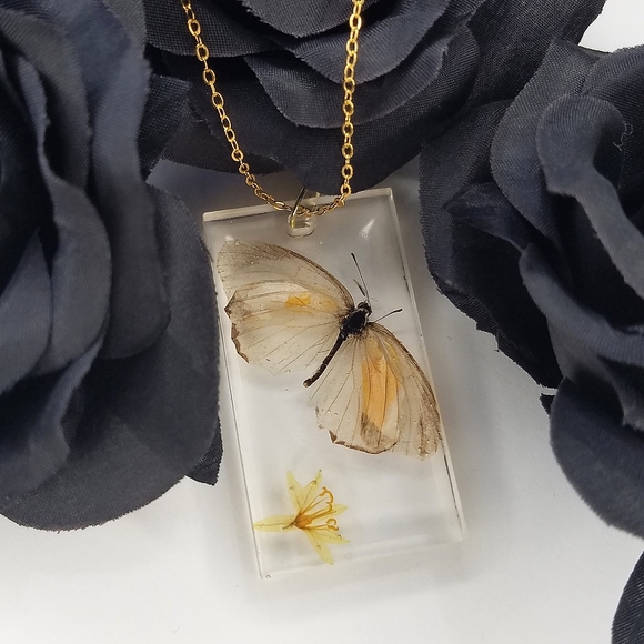 🦇𝕸𝖞 𝕺𝖉𝖉𝖎𝖙𝖞 𝕾𝖍𝖔𝖕🦇 - Picture 7 of 16